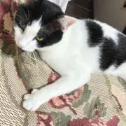 えりの画像