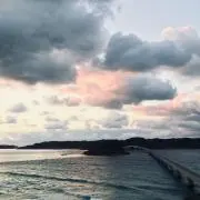 くりの画像