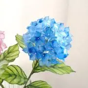 豆柴333の画像
