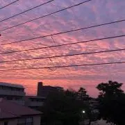 ジェジェの画像