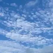 はなはな＊セール中！の画像