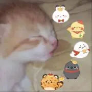 nao【プロフィール必読】様 ご専用 - メルカリ