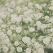 にゃあ❁︎プロフ必読