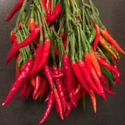 HAPPY RED PEPPERSの画像