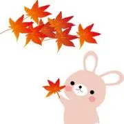 もみこ