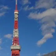 こめこの画像