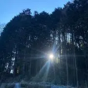 ポカの画像