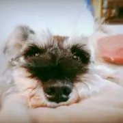 Mr.ynの画像