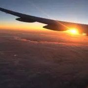 チーロの画像