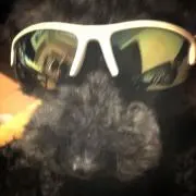 Ri t o★