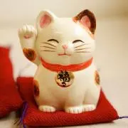 依怙贔屓の画像