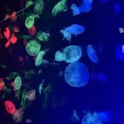 むぅ (※プロフ読んで下さい)の画像