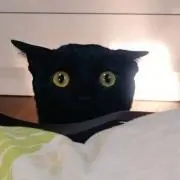 モイモイの画像