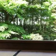れなもの画像