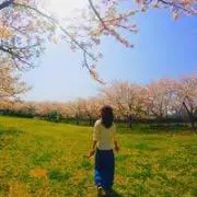 しゃけお✩.*˚