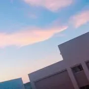 ❁