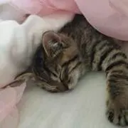サヤカ！