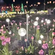 Eちゃん イベントセール中⚡️の画像