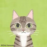 チョコ☆8日～旅行、発送返信は12日～の画像