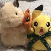 アレックスの画像
