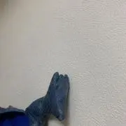 Rの画像