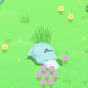 カワハギんの画像
