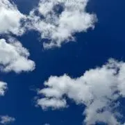 ほんちゃんの画像