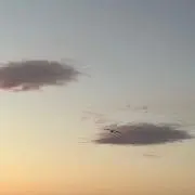 まっちょ