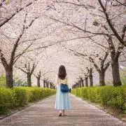 しーなの画像