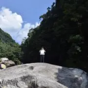 Uの画像