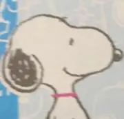 smileの画像