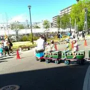 モモモサメサメの画像