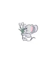 ゆきんこの画像