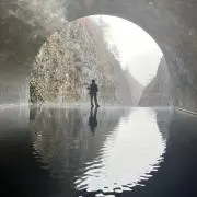 まりも