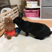 きーこ