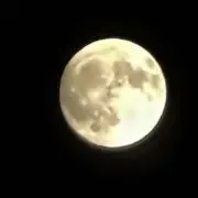 はん