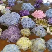 ナオナオの画像