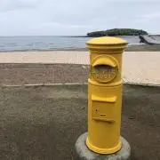 ぼんの画像