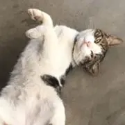 ハーデス