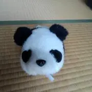 しまねこ