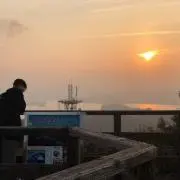 ちきの画像