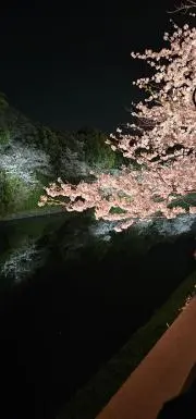 さとみの画像