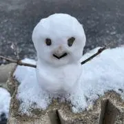 Yuimama断捨離中の画像
