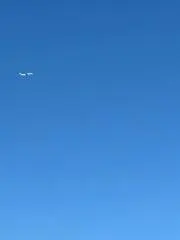 Tの画像