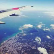 なるこ