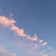 あの画像