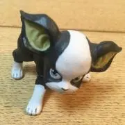 トシの画像