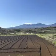 SAの画像