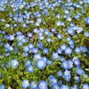 ★まりねこ★【お値段交渉承ります】の画像