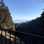YUUの画像